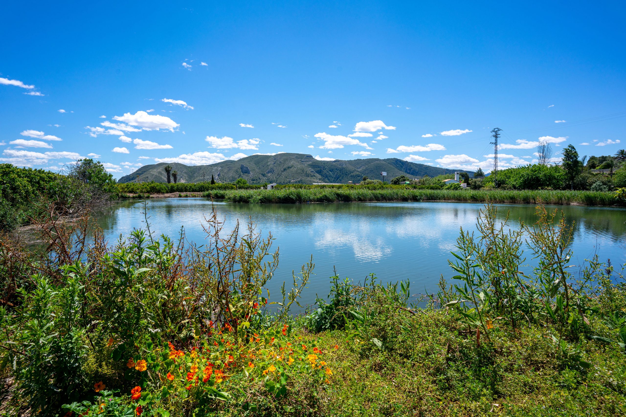 Water and vegetation at Ullal Gran i de les Penyetes