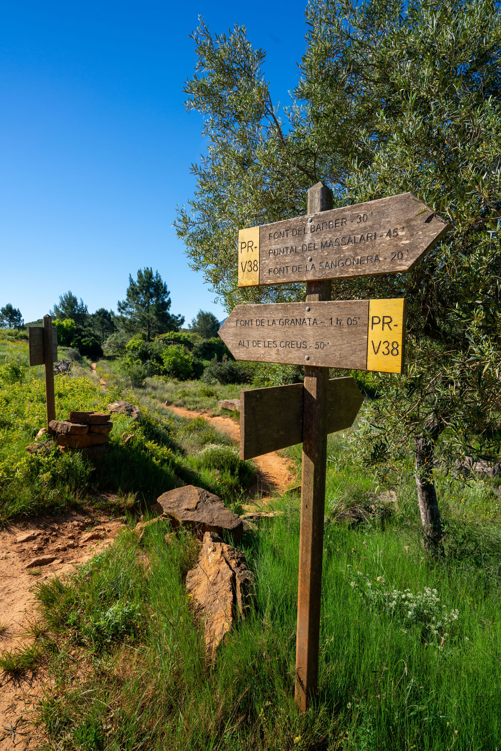 Senderisme a Tavernes de la Valldigna