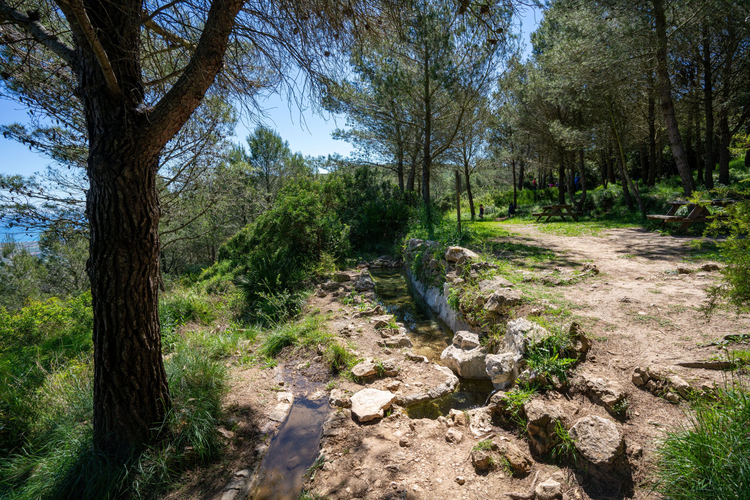 Water and mountain vegetation around La Sangonera