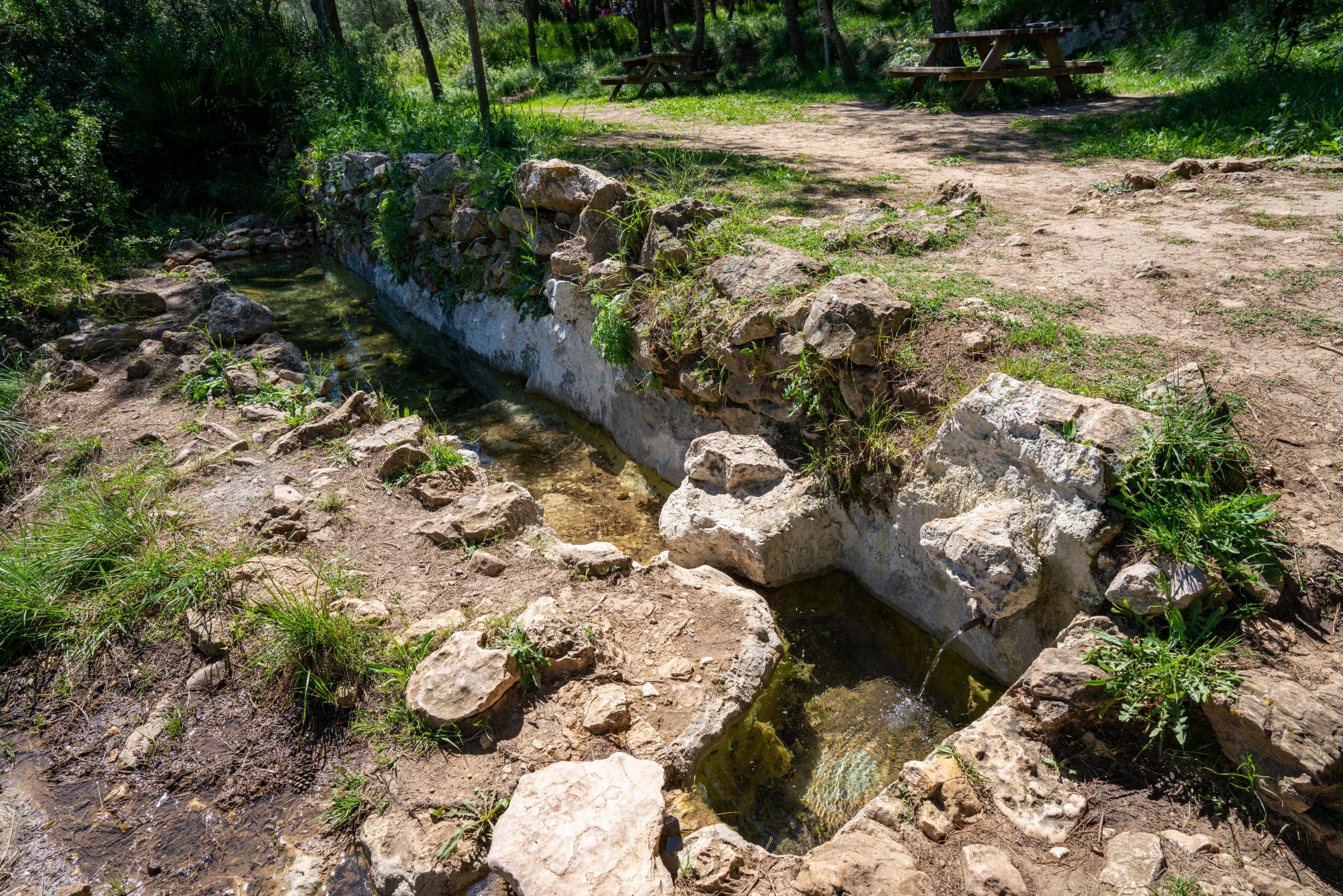 Stone, water and vegetation in the mountains of Tavernes