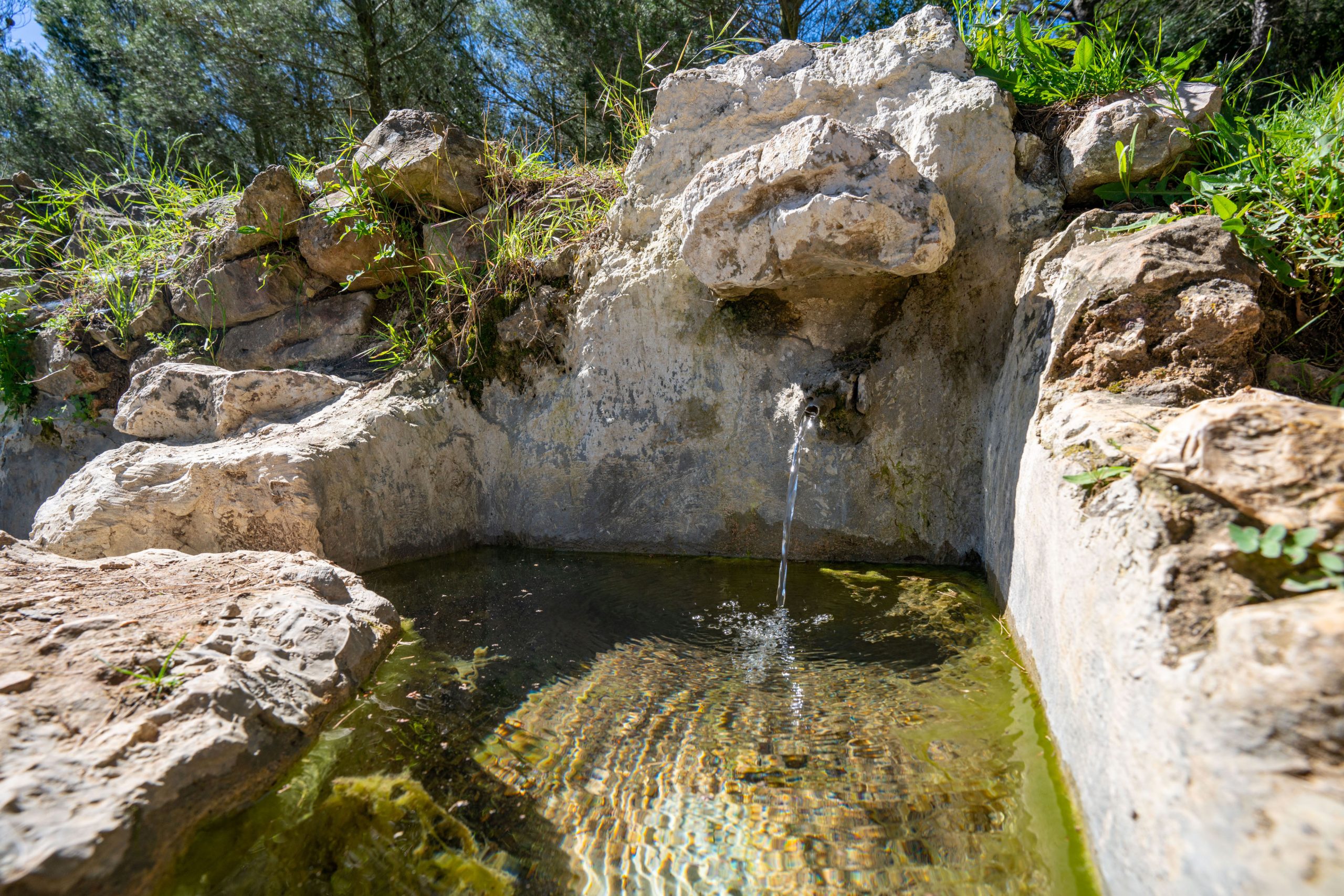 Font de la Sangonera in Tavernes de la Valldigna