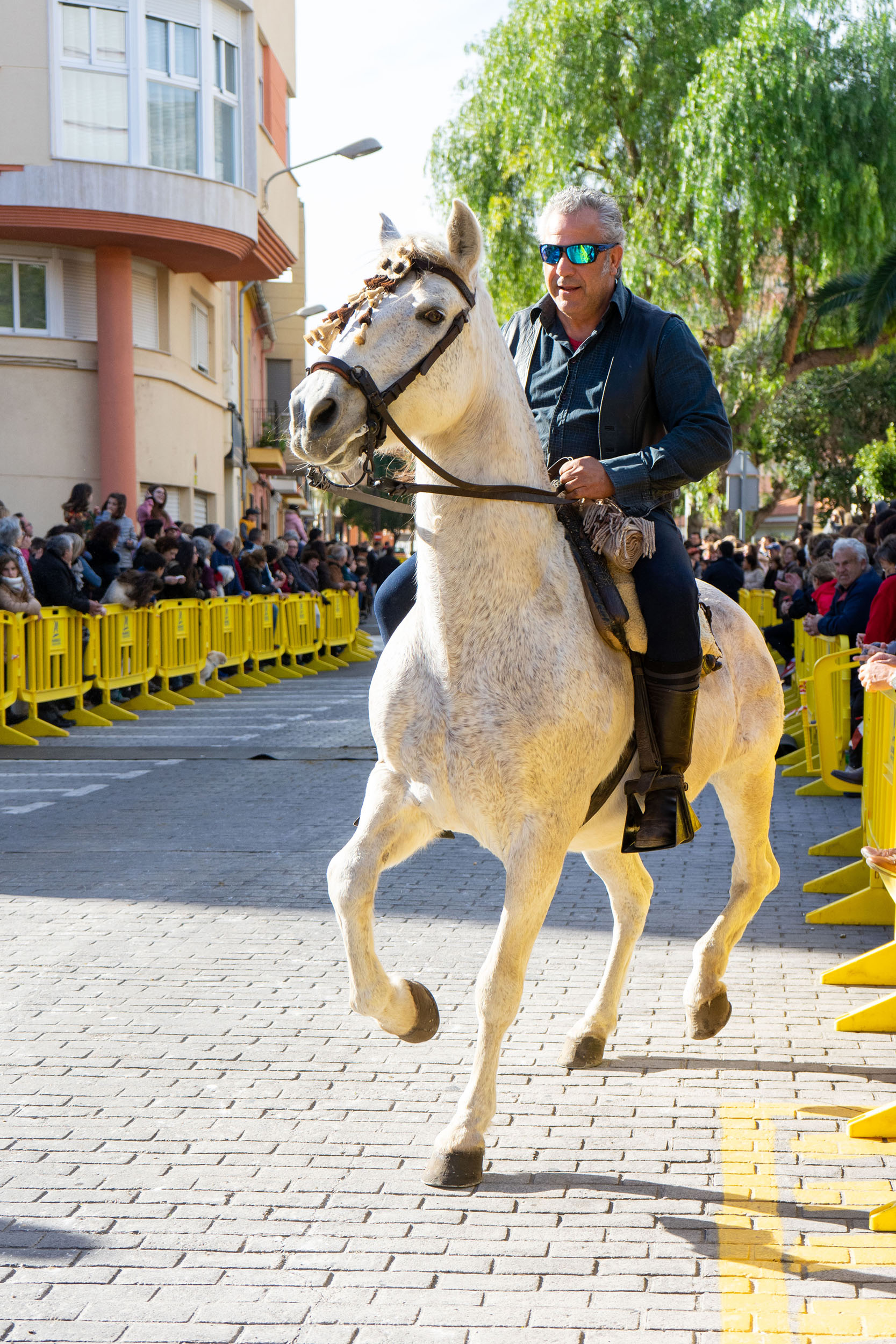 Desfile de San Antonio Abad en Tavernes