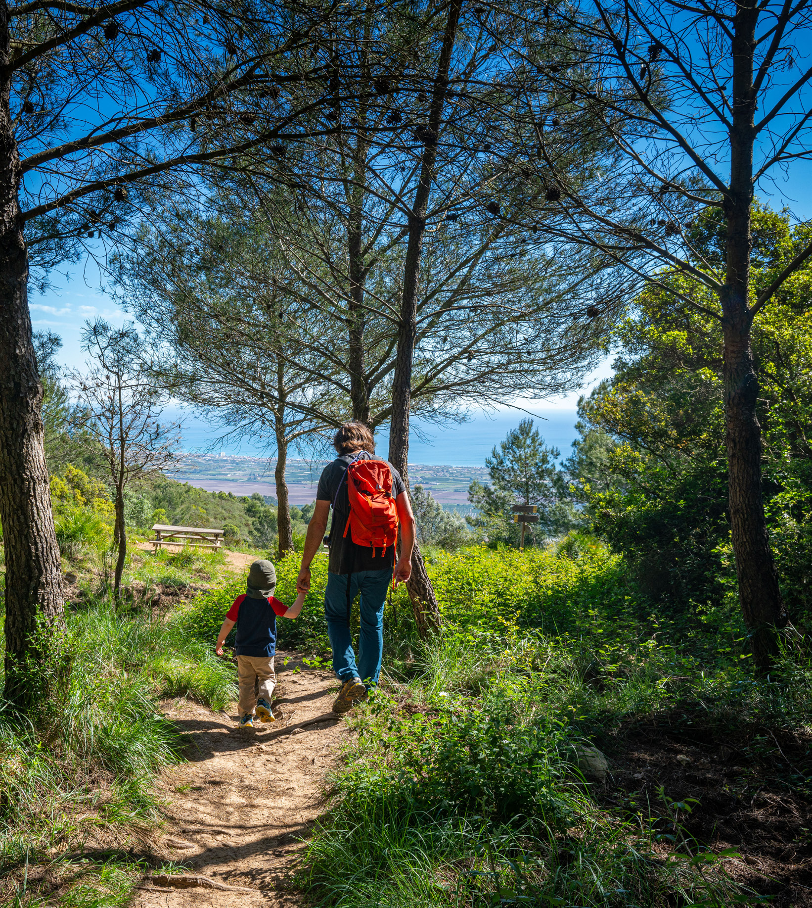 Senda de naturaleza en familia en Tavernes