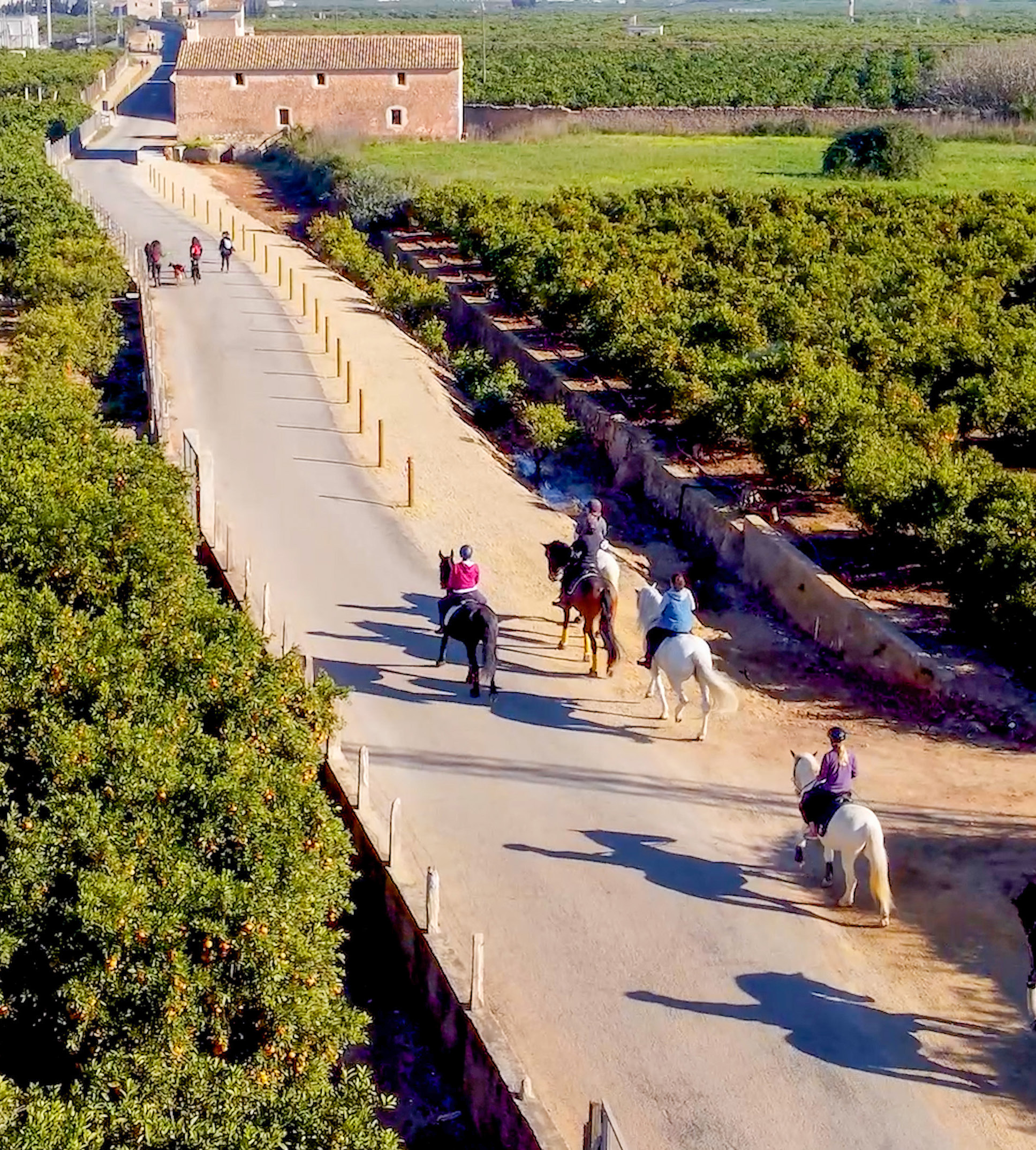 Vía Verde del antiguo Trenet en Tavernes
