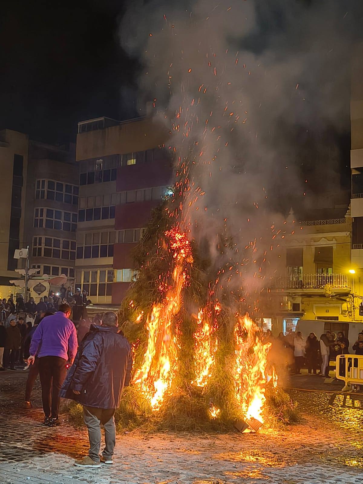 Cremà del pi durante San Antonio Abad en Tavernes